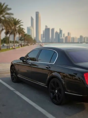 2009 Bentley FLYING SPUR 照片 13