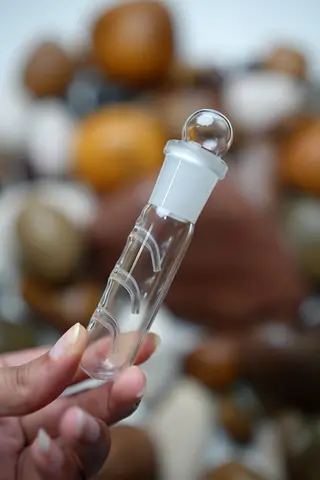 PLANARIA & WORM TRAP aquarium