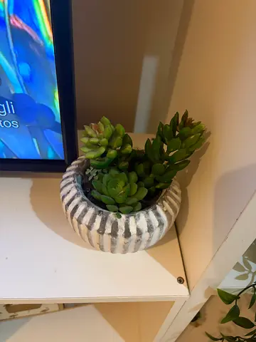 Decorative Potted Artificial Succulent Plant