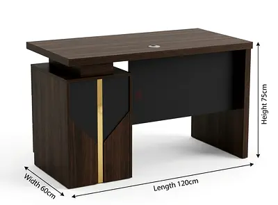 Modern Executive Office Desk with Storage Cabinet - 120cm x 60cm x 75cm