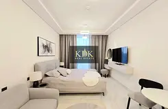 Luxurious studio| Investor deal | Fully furnished