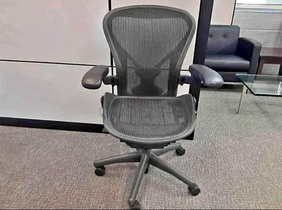 Herman Miller Ergonomic Mesh Office Chair with Adjustable Armrests and Lumbar Support