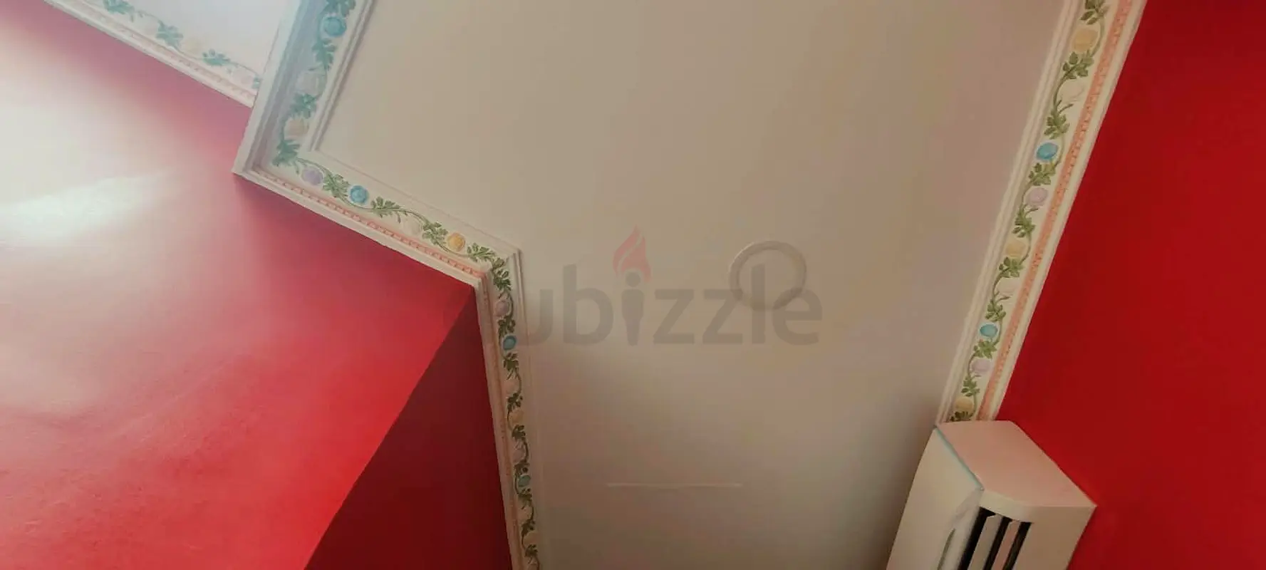 DPV_View_Image_1