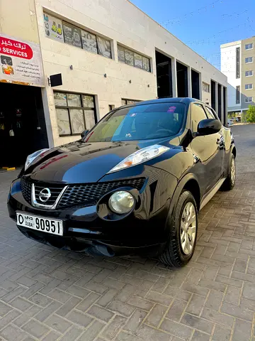 2014 Nissan JUKE 照片 9