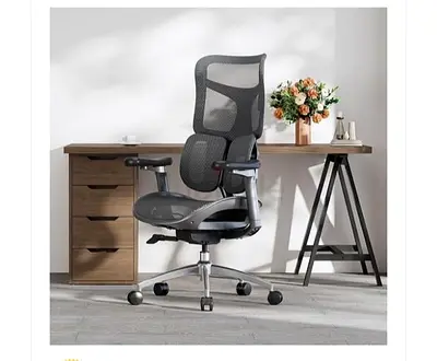 Ergonomic Mesh Office Chair with Headrest and Lumbar Support 0506768890