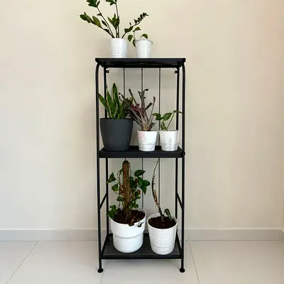 Plants