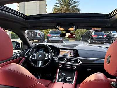 2021 BMW X6 照片 9