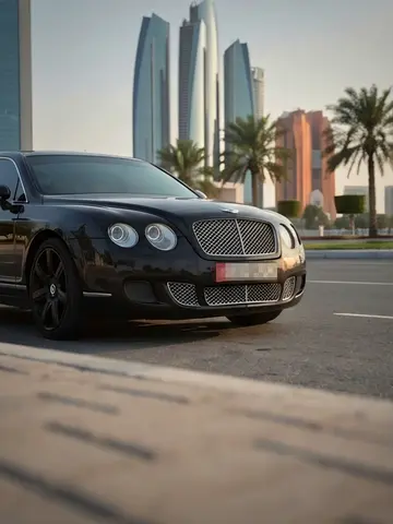 2009 Bentley FLYING SPUR 照片 1