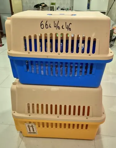 Cats and dogs carriers for air travel