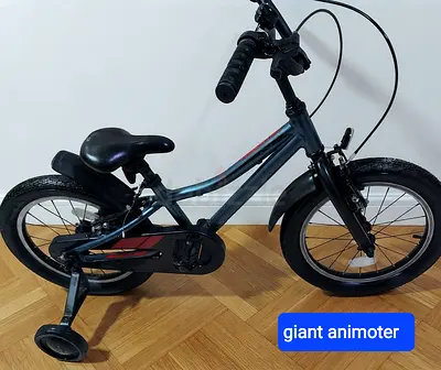 Giant animoter 16inches kids 4:7years