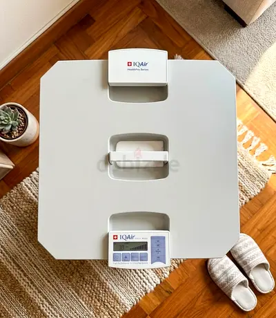 IQAir HealthPro Air Purifier (well-maintained)