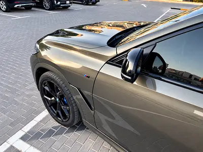 2021 BMW X6 照片 3