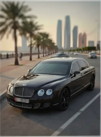 2009 Bentley FLYING SPUR 照片 4
