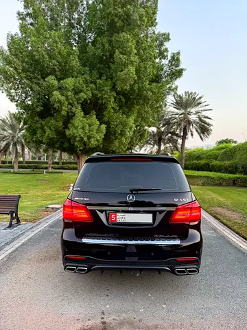 صورة 19 لـ 2016 Mercedes-BENZ GLS