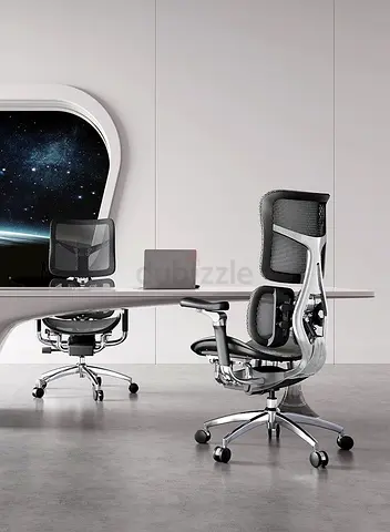 SIHOO Ergonomic Office Gaming Chair with Dual Dynamic Lumbar Support, 6D Coordinated Armrests, Mesh