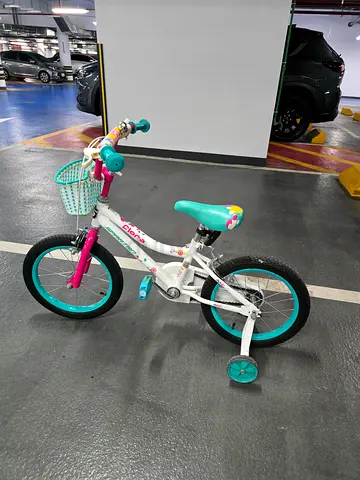 Spartan Flora 16-inch Girls Bicycle with Training Wheels and Front Basket