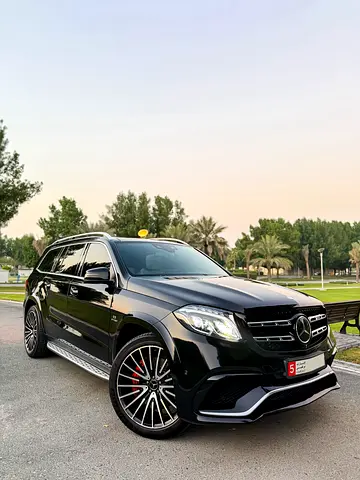 صورة 18 لـ 2016 Mercedes-BENZ GLS