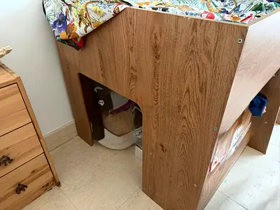 ***MUST GO - URGENT Sale *** Single wooden bed frame in oak finish - good condition