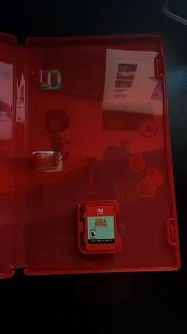 Animal crossing new horizon switch 2