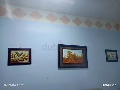 مجموعه براويز 30 AED