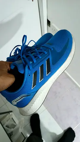 Blue Coloured ADIDAS Shoes