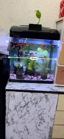 2 Aquarium Tank with LED Hood and Accessories