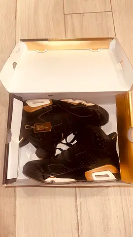 Jordan 6 retro DMP