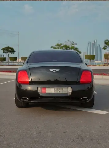2009 Bentley FLYING SPUR 照片 14