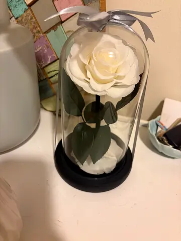 Preserved White Rose in Glass Dome