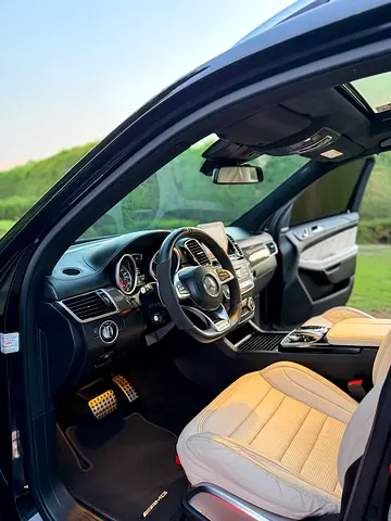 صورة 16 لـ 2016 Mercedes-BENZ GLS