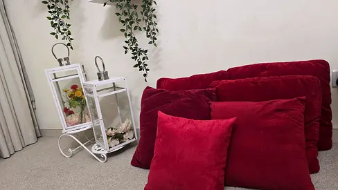 Set of 6 Burgundy Velvet Cushions and Throw Pillows — Good Condition