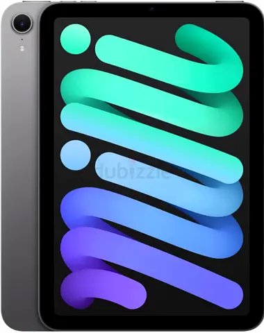 iPad mini 7 TDRA (256) space gray