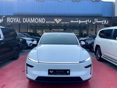 2026 Tesla MODEL Y 照片 2