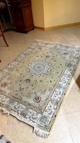Light beige Persian-style area rug in good condition