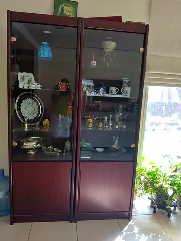 Modern Wooden Display Cabinet with Glass Doors