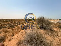 Industrial Land for Sale in Umm Al Quwain – Freehold Opportunity
