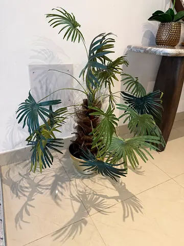 Artificial tropical palm plant in pot - decorative indoor greenery