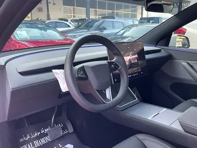 2026 Tesla MODEL Y 照片 7