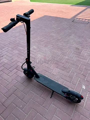 Electric crony scooter