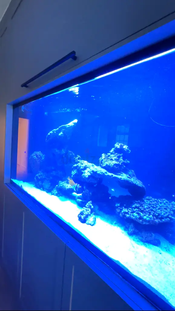 DPV_View_Image_3