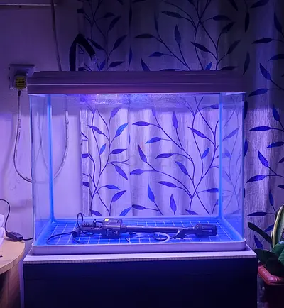Aquarium with light and filter for sale