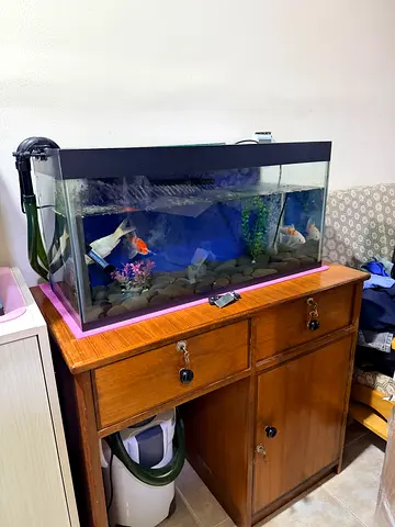 80 cm aquirium for sale