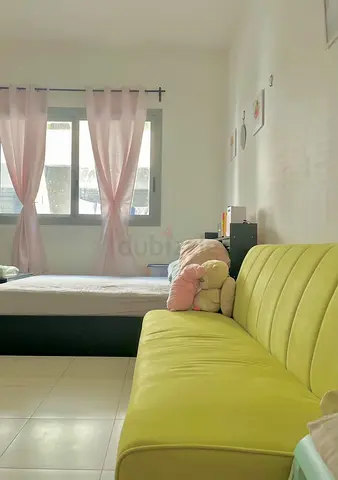 Elory Sofa Bed (Pan Home)