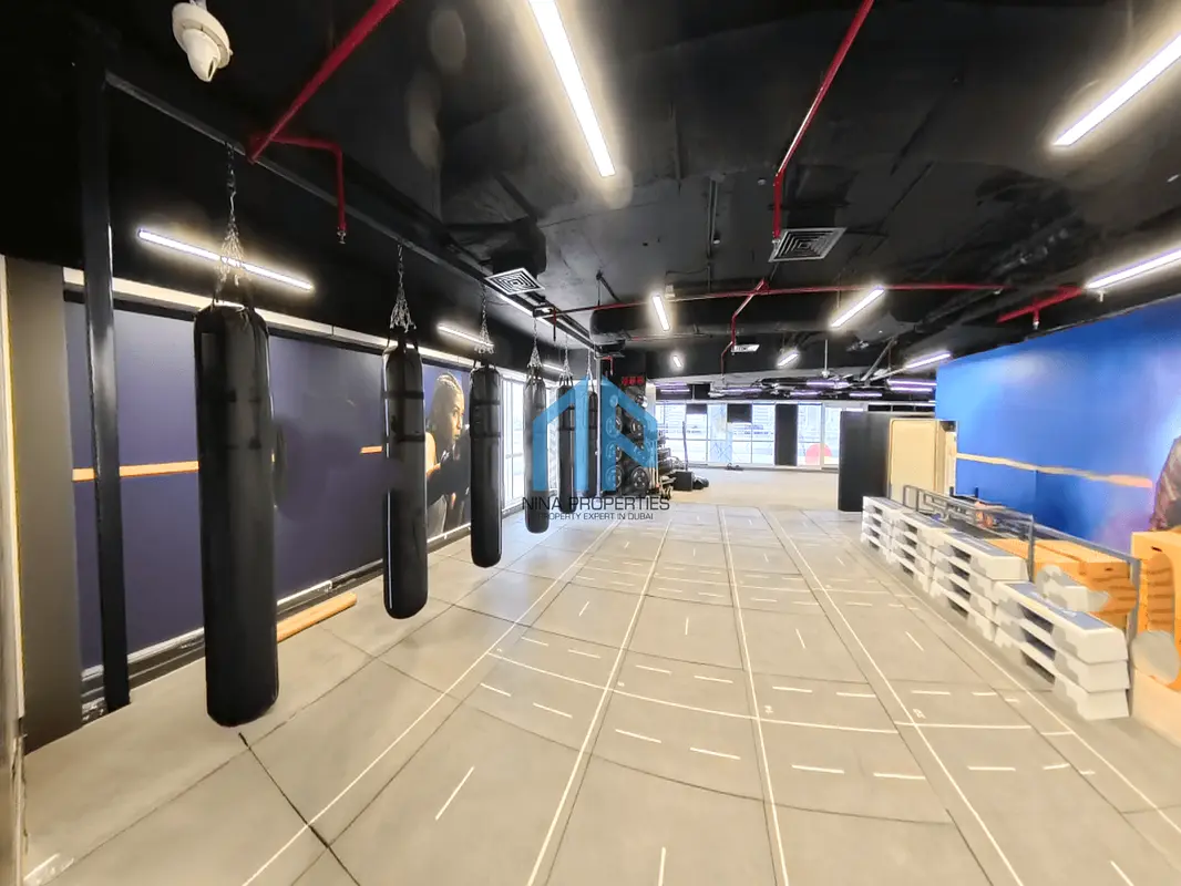 gallery-image
