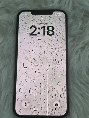 Apple iPhone 12 Pro Max Pacific Blue