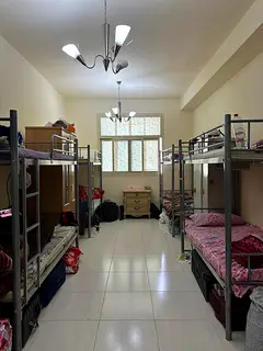 Executive Bed spaces available for bachelor's (Al Rigga)