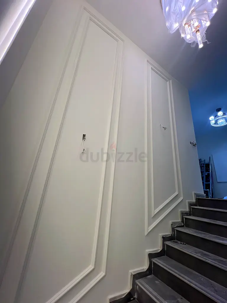 DPV_View_Image_1