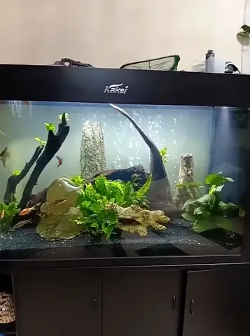 Aquarium Tank Cleaning + Water Test Dubai - Home Service