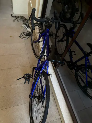 Used blue hybrid/road bike
