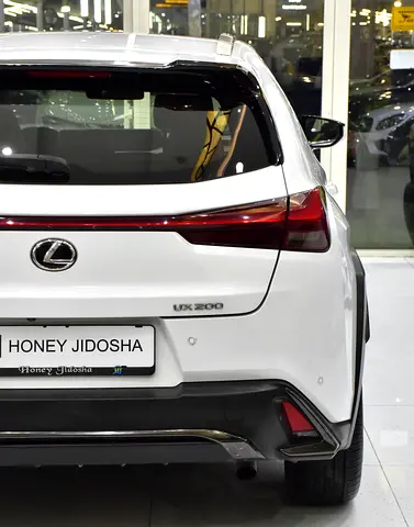 صورة 9 لـ 2020 Lexus UX-SERIES